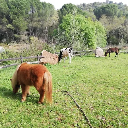Сasa de vacaciones Del Bosque Cerca De Córdoba