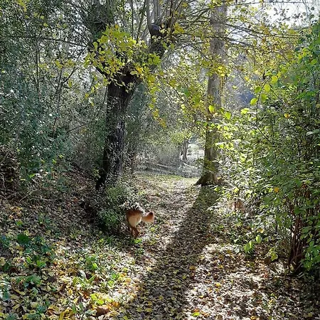 בית נופש Del Bosque Cerca De