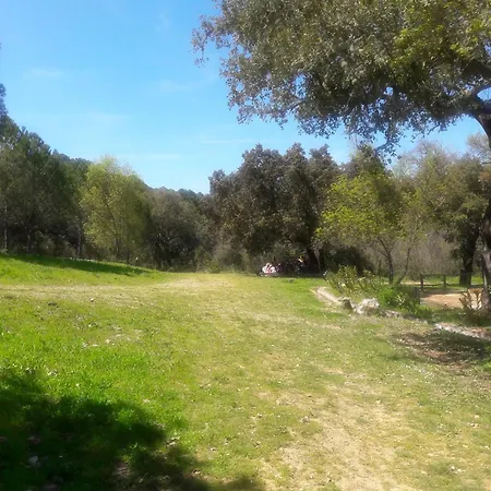 Сasa de vacaciones Del Bosque Cerca De *