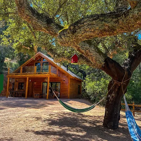 Сasa de vacaciones Del Bosque Cerca De *