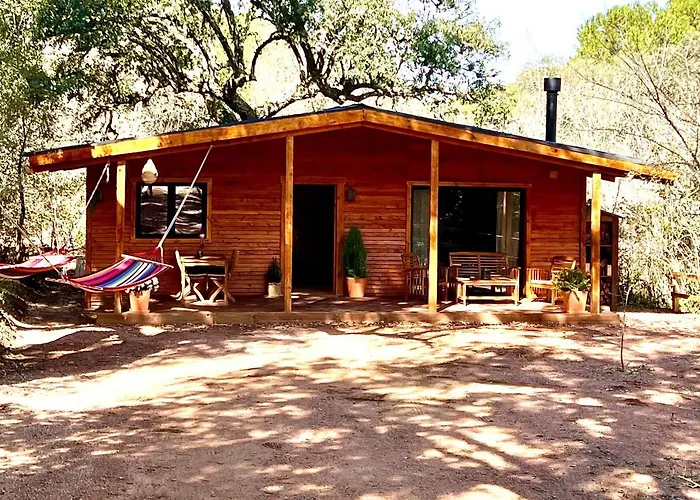 Del Bosque Cerca De Ferienhaus *