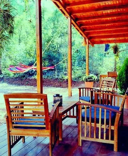 Del Bosque Cerca De Ferienhaus *