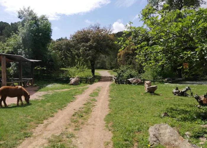 Del Bosque Cerca De Córdoba