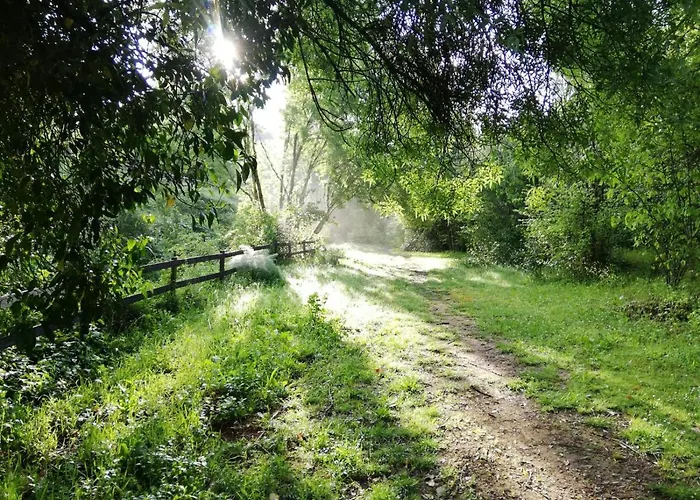Del Bosque Cerca De Córdoba