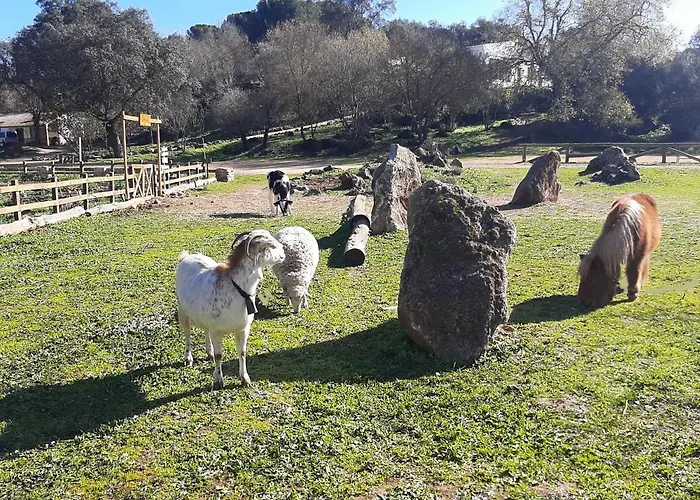 Del Bosque Cerca De * Córdoba