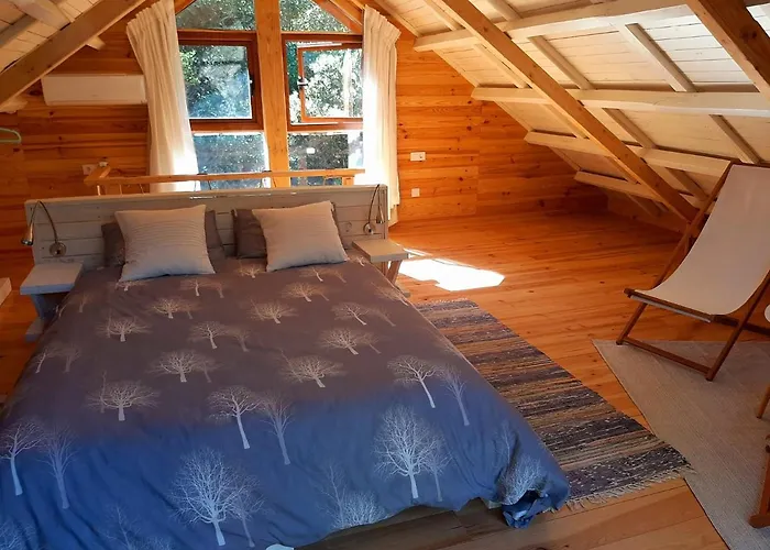 Del Bosque Cerca De Ferienhaus