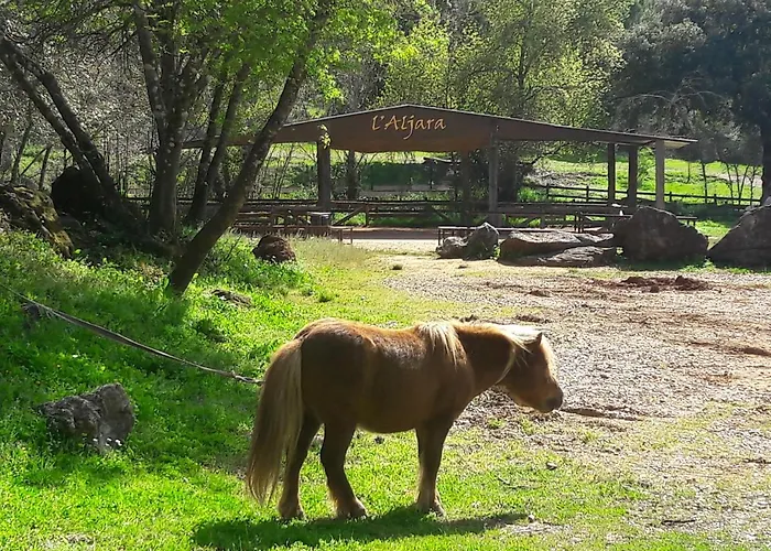 Del Bosque Cerca De Ferienhaus *