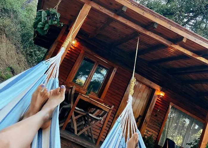 Del Bosque Cerca De Ferienhaus