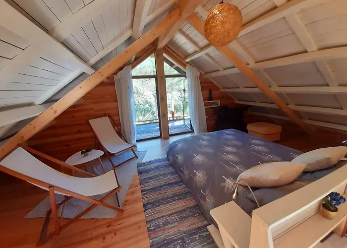 Del Bosque Cerca De Ferienhaus Córdoba