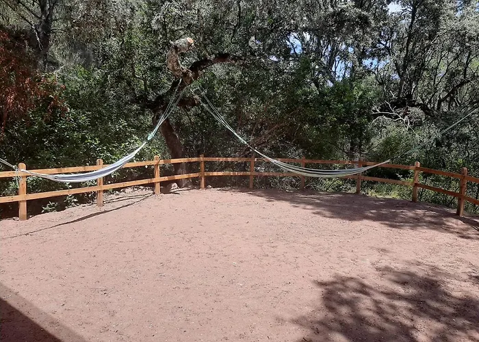 Del Bosque Cerca De Ferienhaus Córdoba