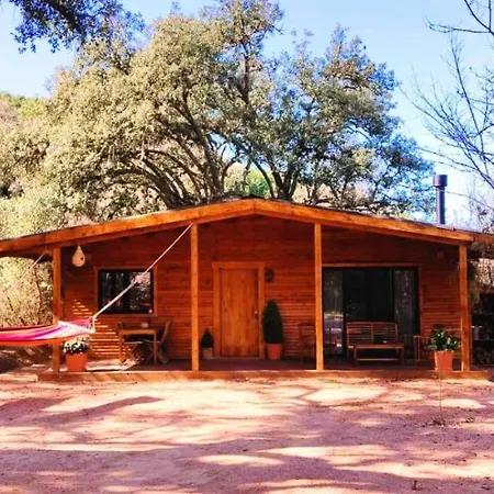 Del Bosque Cerca De Ferienhaus