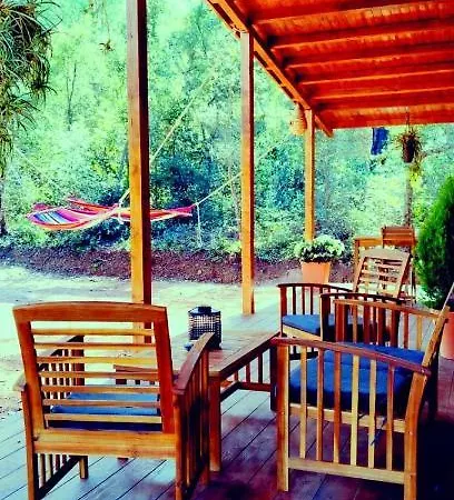 Del Bosque Cerca De Ferienhaus *