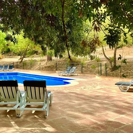 Del Bosque Cerca De Cordoba