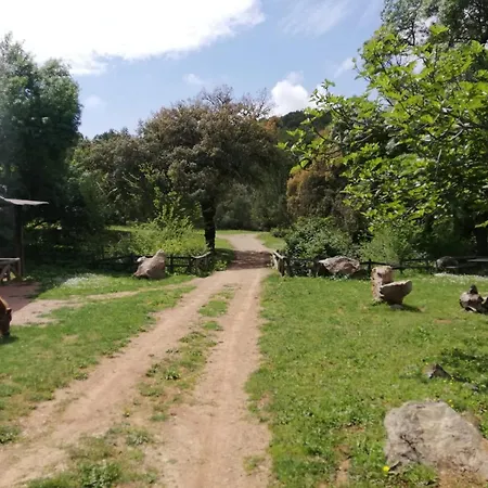 Del Bosque Cerca De Córdoba