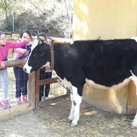 Del Bosque Cerca De *