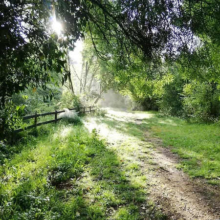 Del Bosque Cerca De Córdoba