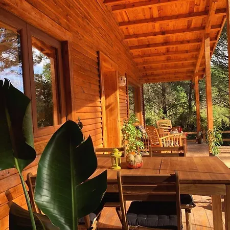 Del Bosque Cerca De Córdoba