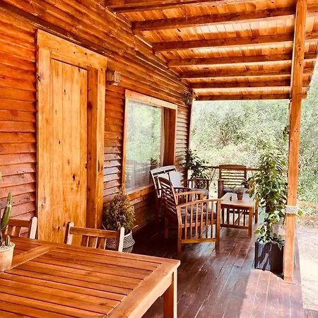 Del Bosque Cerca De Holiday home *