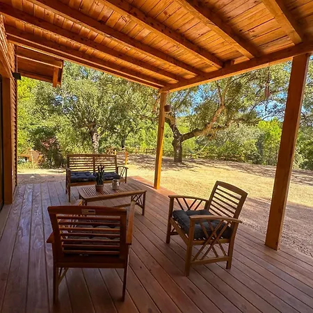 Del Bosque Cerca De Vakantiehuis