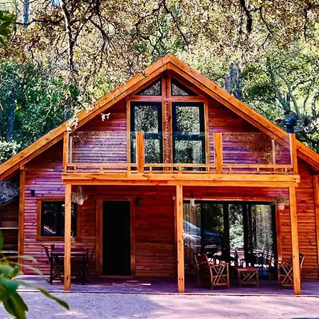 Del Bosque Cerca De Ferienhaus