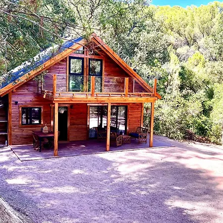 Del Bosque Cerca De *