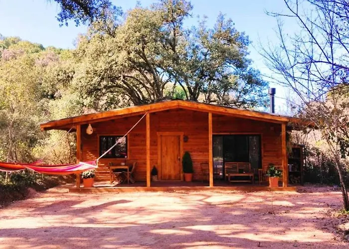 Del Bosque Cerca De Feriehus