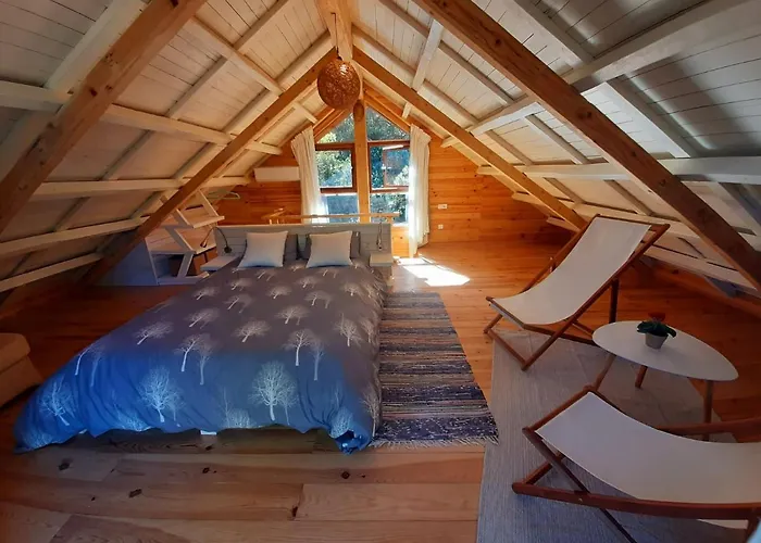 Del Bosque Cerca De Feriehus