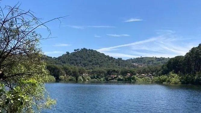 Del Bosque Cerca De Feriehus