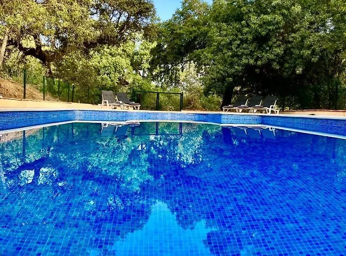 Del Bosque Cerca De *