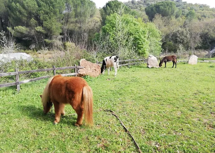 Prázdninový dům Del Bosque Cerca De Córdoba