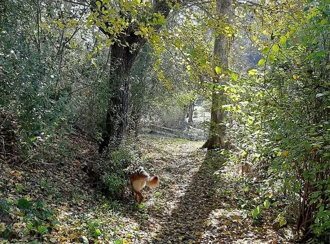 Σπίτι διακοπών Del Bosque Cerca De