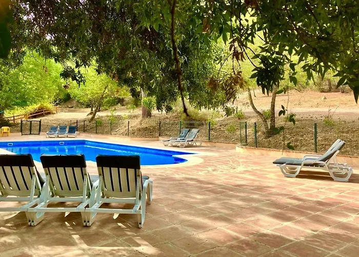 Del Bosque Cerca De Κόρδοβα