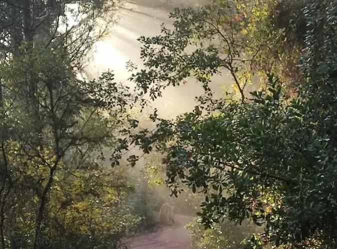 Σπίτι διακοπών Del Bosque Cerca De *