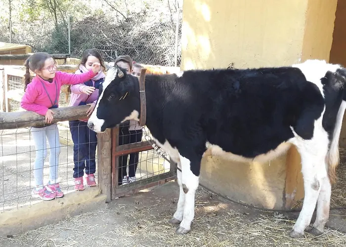 Del Bosque Cerca De *