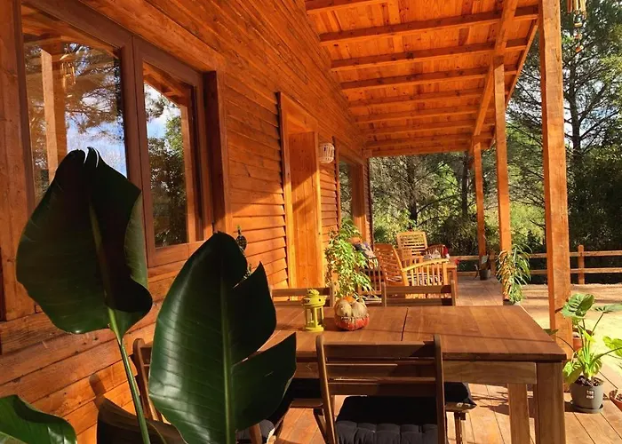 Del Bosque Cerca De Córdoba