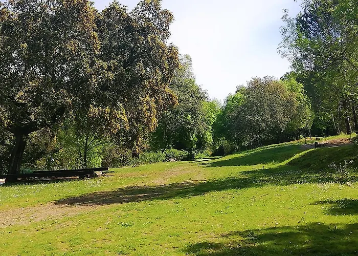 Del Bosque Cerca De Feriehus Córdoba
