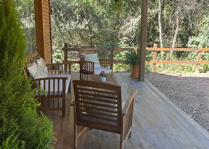 Del Bosque Cerca De Feriehus Córdoba