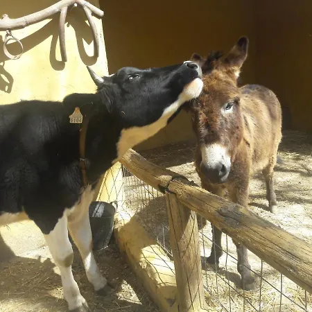 Del Bosque Cerca De *