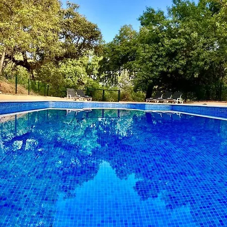 Del Bosque Cerca De *