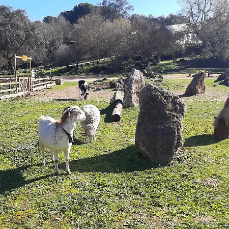 Del Bosque Cerca De * 科爾多瓦