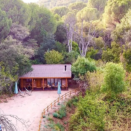 Del Bosque Cerca De * 科爾多瓦