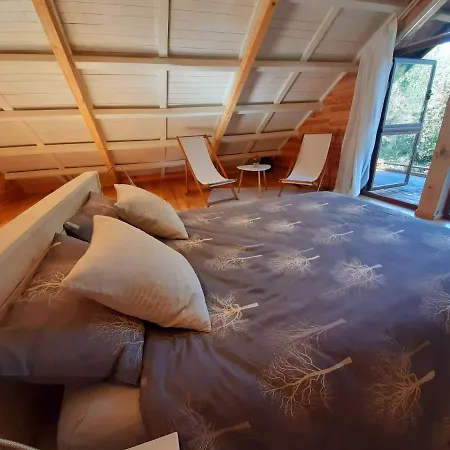 Del Bosque Cerca De 科爾多瓦