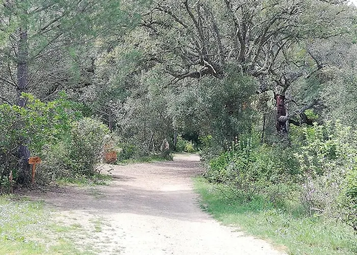 בית נופש Del Bosque Cerca De *