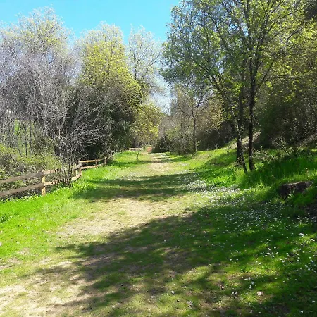 Nyaraló Del Bosque Cerca De *