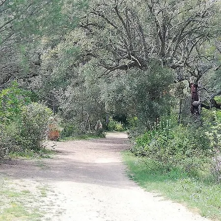 Nyaraló Del Bosque Cerca De *