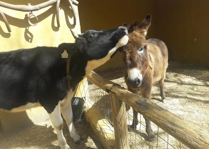 Del Bosque Cerca De *