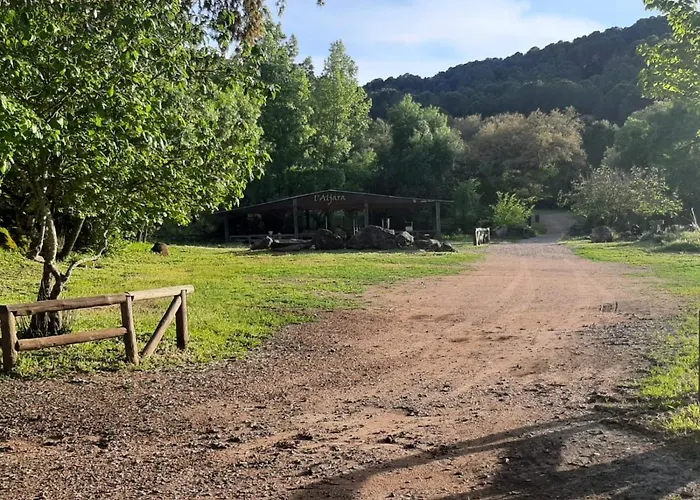 Del Bosque Cerca De * Córdova