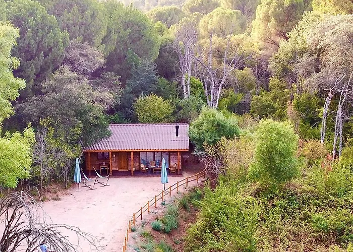 Del Bosque Cerca De * Córdova