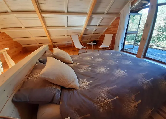 Del Bosque Cerca De Córdova