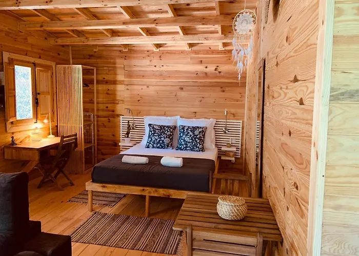 Del Bosque Cerca De Córdova